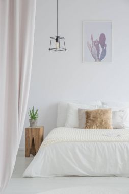 Poster kaktüs ile