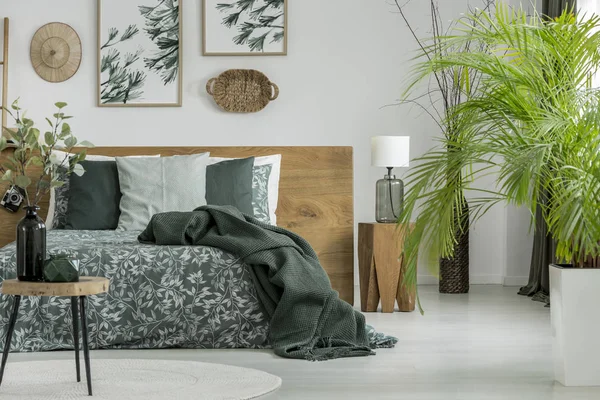 Bord och växter i sovrummet — Stockfoto