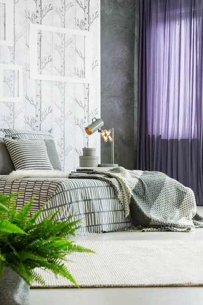 Lila draperier i moderna sovrum — Stockfoto
