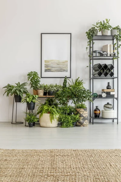 Ruangan yang penuh dengan tanaman — Stok Foto