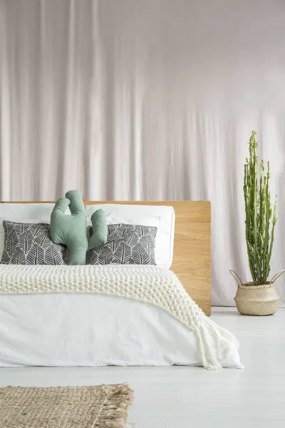 Светлый интерьер спальни с кактусом — стоковое фото