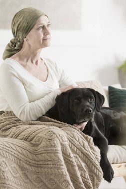 Sadık köpek sahibi tarafından yalan
