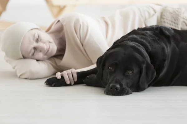 Combatir el cáncer con terapia para mascotas — Foto de Stock