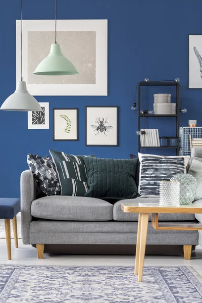 Graue Couch im marineblauen Zimmer — Stockfoto