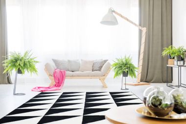 Ferns parlak düz iç