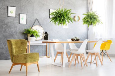 Vintage sandalyede Yeşil Oda