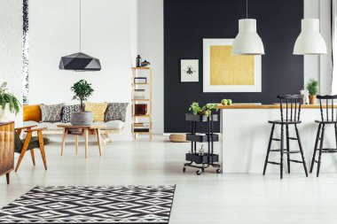 Çok fonksiyonlu şık oturma odası