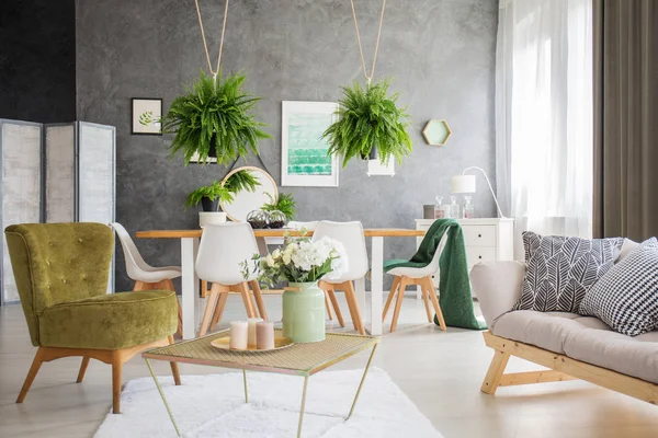 Living room interior with ferns — Stock Photo, Image