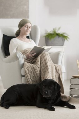 İnsan ve hayvan bağ