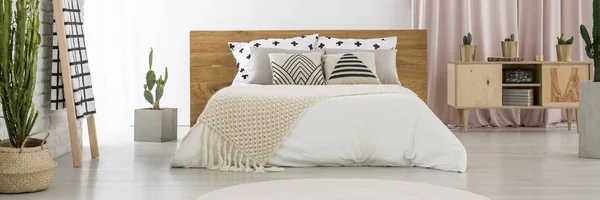Geräumiges Schlafzimmer mit Kakteen — Stockfoto