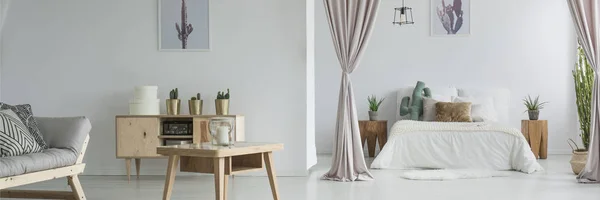 Ruang tamu dengan motif kaktus — Stok Foto