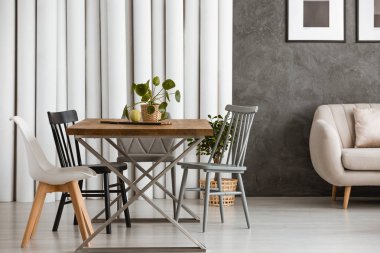 Elma ve saksı bitki