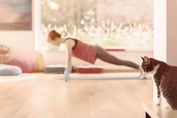 Practicar yoga en casa —  Fotos de Stock