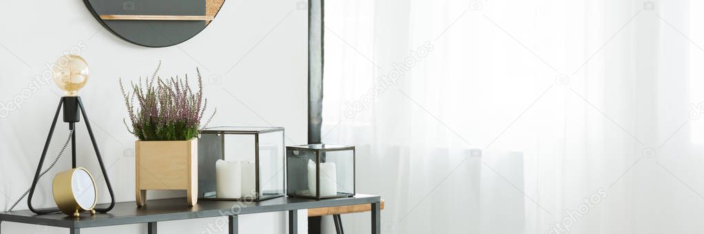 Shelf with plant and lamp