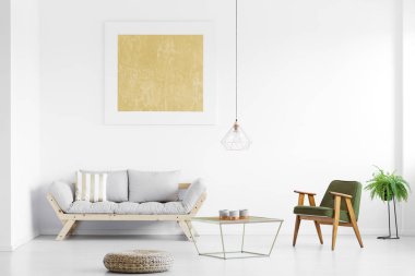 Gri kanepe oturma odasında