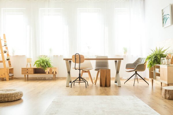 Spacious room with ferns