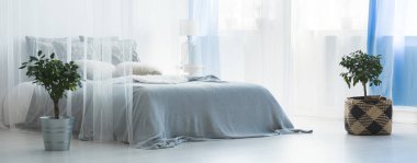 Gölgelik ile benzersiz yatak odası iç