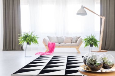 Bitkiler ile cam kase