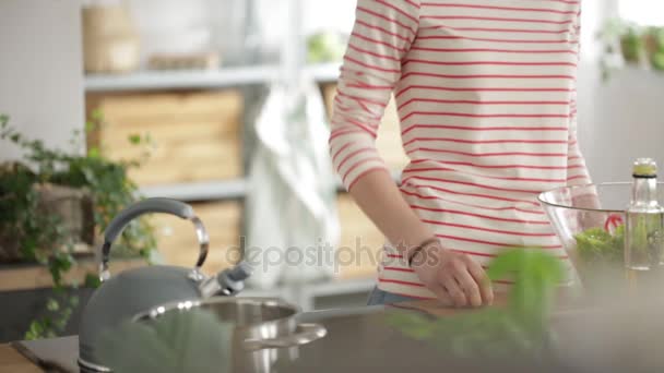 Close Mulher Vegetariana Preparando Salada Crua Derramando Azeite Sobre Legumes — Vídeo de Stock