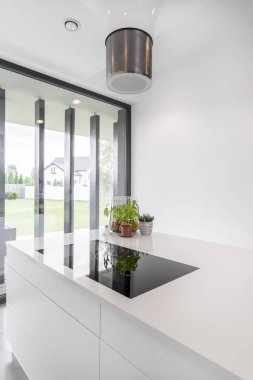 Bitkiler tezgah üzerinde