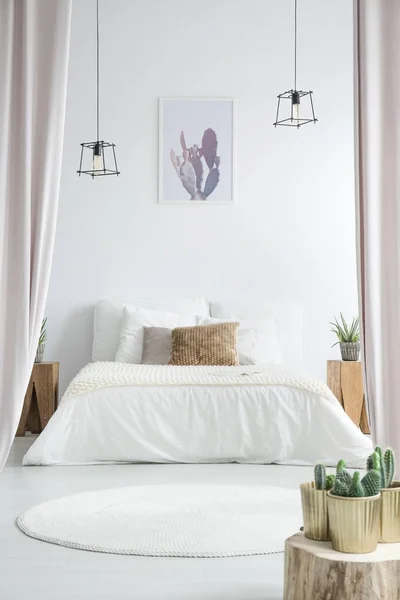 Кактус в белой спальне — стоковое фото