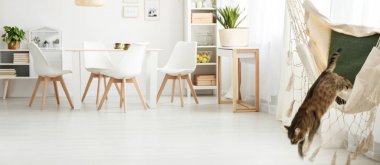 Beyaz yemek odası iç