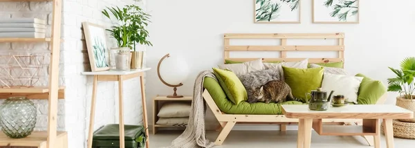 Salon avec meubles en bois — Photo