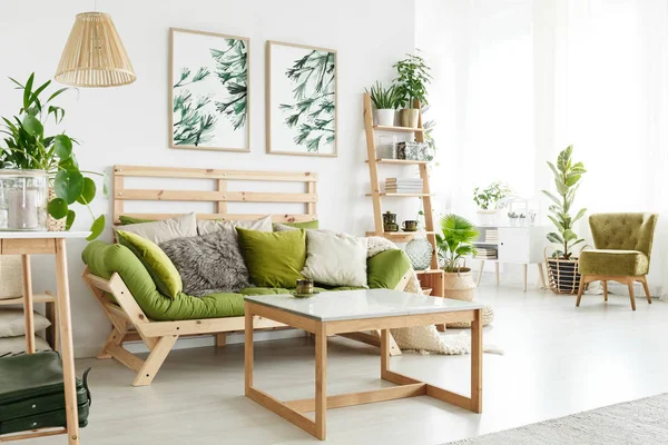 Eco vardagsrum med växter — Stockfoto
