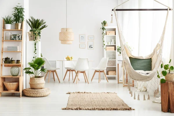 Eetkamer met planten — Stockfoto