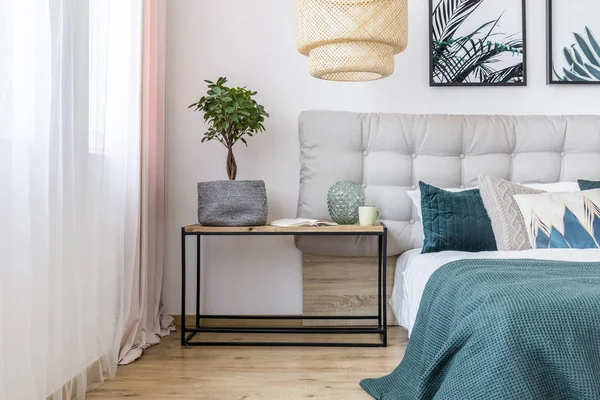 Plant in gezellige slaapkamer interieur — Stockfoto