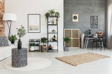 Çok fonksiyonlu salon bitkilerde