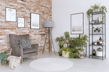 Gri tekli oda sakin ol