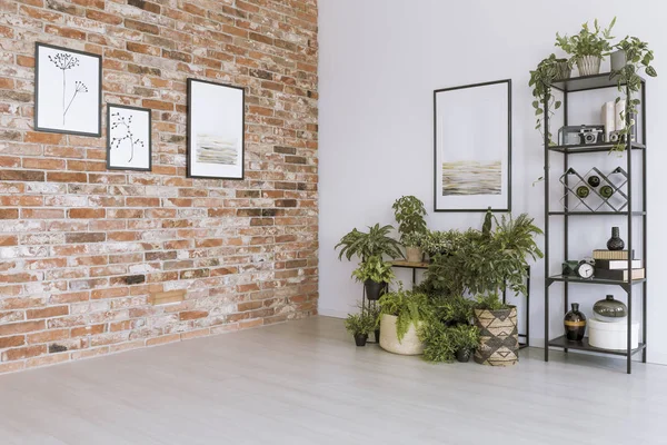 Ruang tamu sederhana dengan gambar — Stok Foto