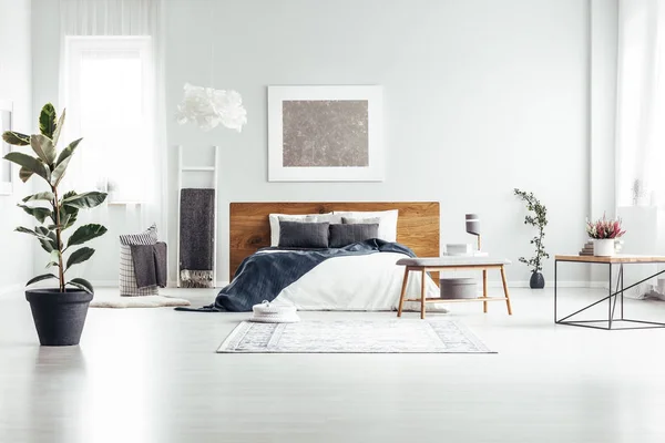 Plant in ruime wit slaapkamer — Stockfoto
