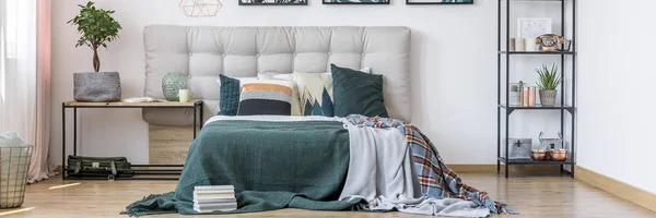 Сажать в зеленом интерьере спальни — стоковое фото