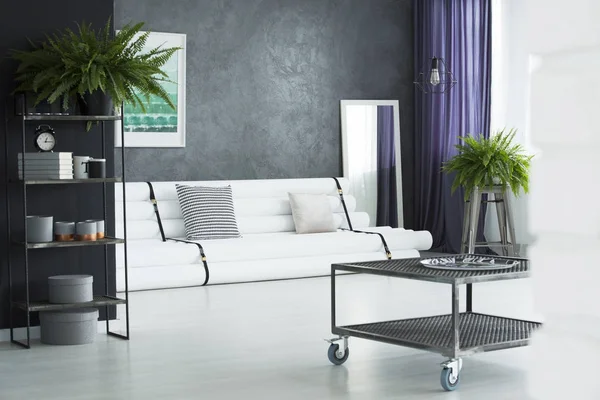 Designer living room with plants — Stock Photo, Image