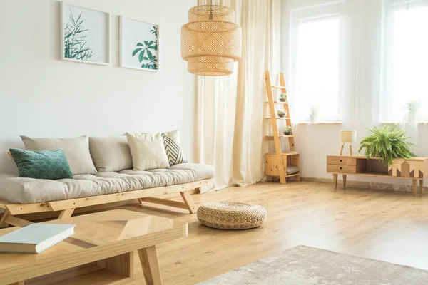 Pflanzen-Plakate hängen über Sofa — Stockfoto