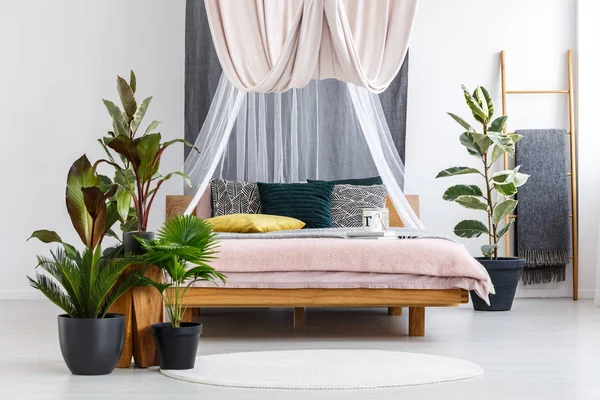 Planten in pastel slaapkamer interieur — Stockfoto
