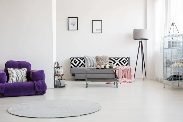 宽敞的紫色起居室 — 图库照片