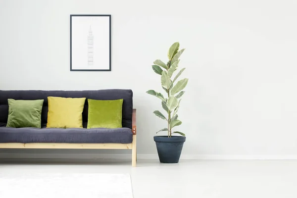 Sala de estar con ficus tree — Foto de Stock