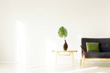 Yeşil yaprak oturma odasında