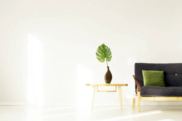 Folha verde na sala de estar — Fotografia de Stock