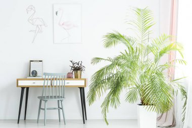 Resepsiyon yanındaki büyük palm