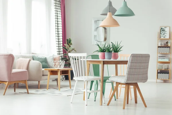 Pastel apartment with aloe plants — Stock Photo, Image