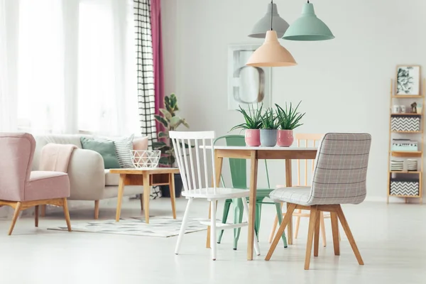 Apartamento Pastel con plantas de aloe —  Fotos de Stock