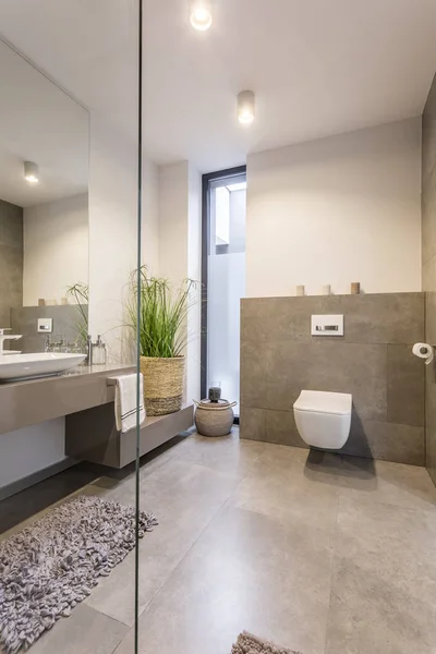 Cozy beige toilet with basket — Stock Photo, Image