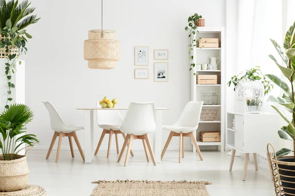 Plantes dans la salle à manger blanche — Photo