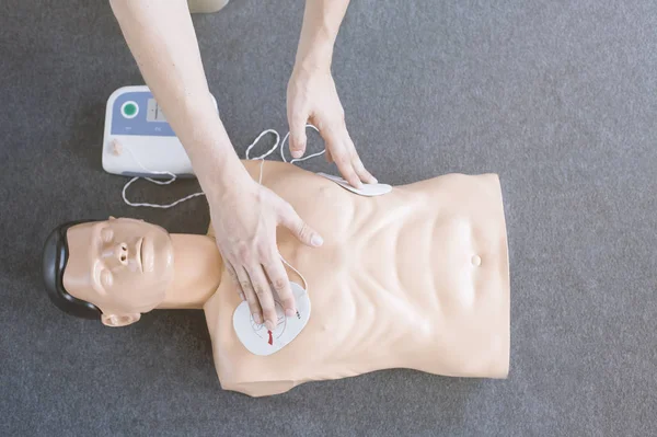 High angle of medical mannequin — Stock Photo, Image