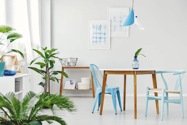 Sala da pranzo blu con piante — Foto Stock