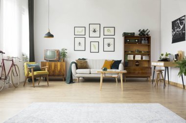 Vintage Mobilya Oturma odasında